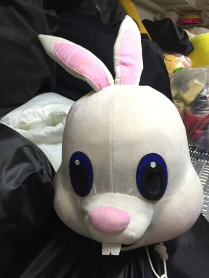 bunny head